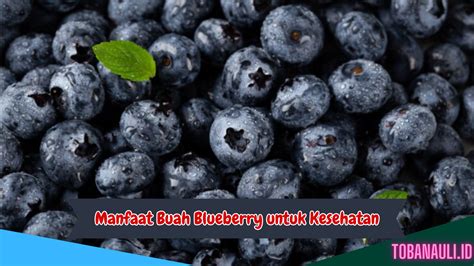 manfaat blueberry untuk tubuh